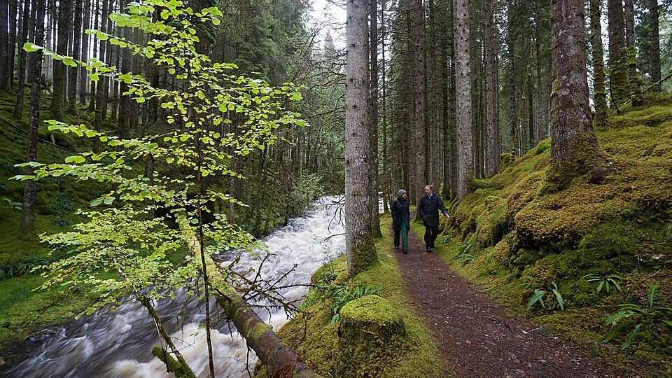 Ormanda nehrin kenarında yürüyen bir erkek ve bir kadın