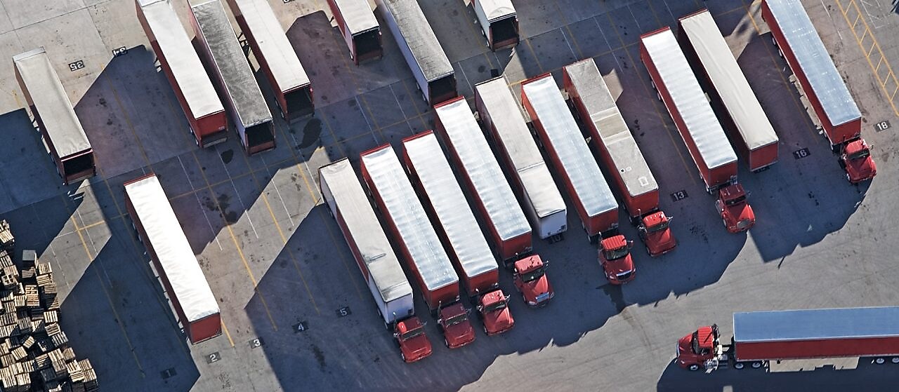 Filoların verimliliğini güçlendirme