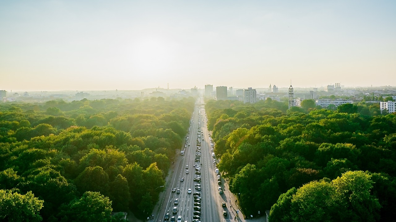 Otoyol, kent silueti ve orman