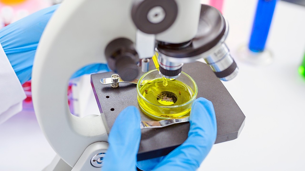 Madeni yağ geliştirme 