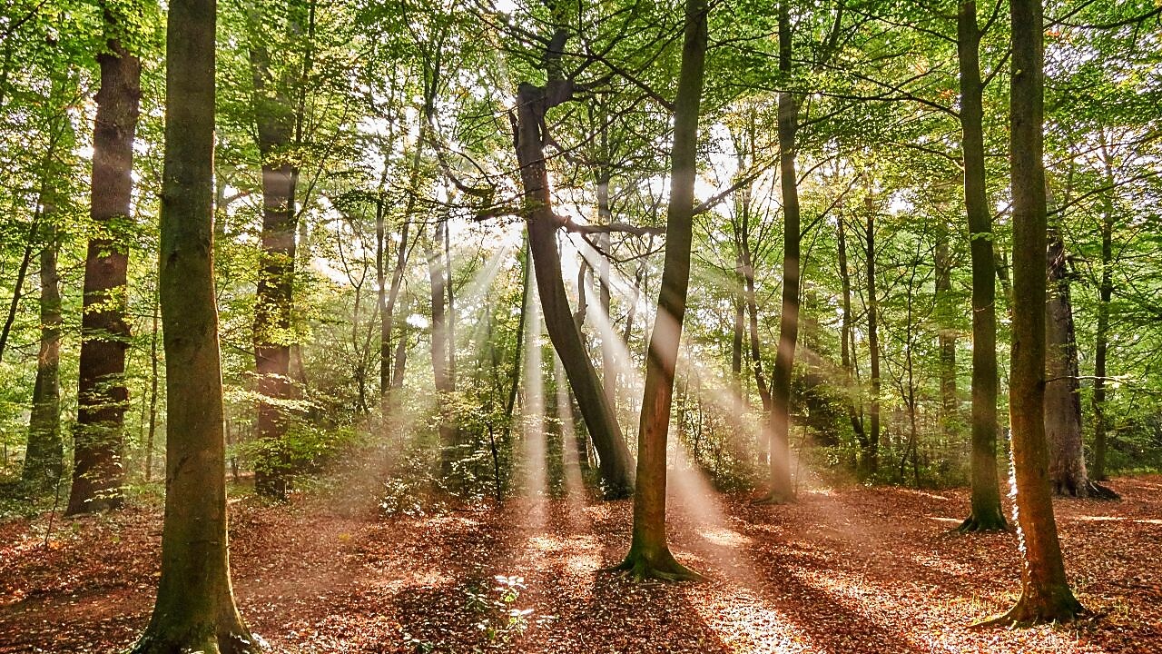 Doğa Bazlı Çözümler