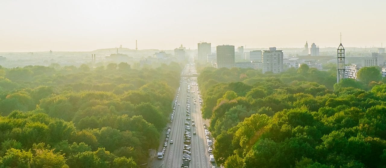 Otoyol, kent silueti ve orman