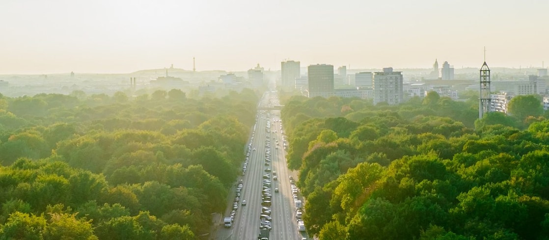 Otoyol, kent silueti ve orman