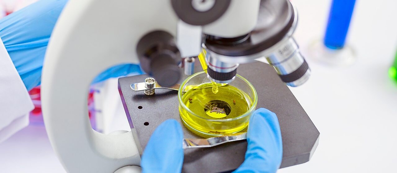 Madeni yağ geliştirme