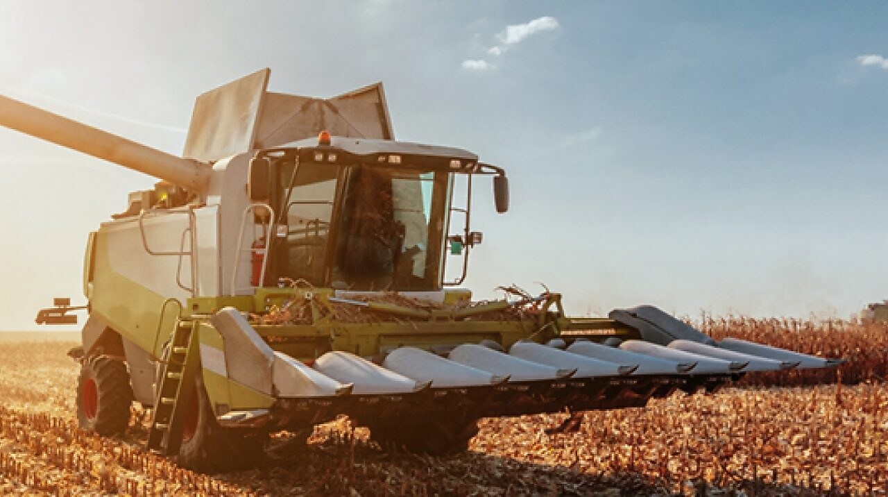 Shell Naturelle Sürdürülebilirlik ve Performans