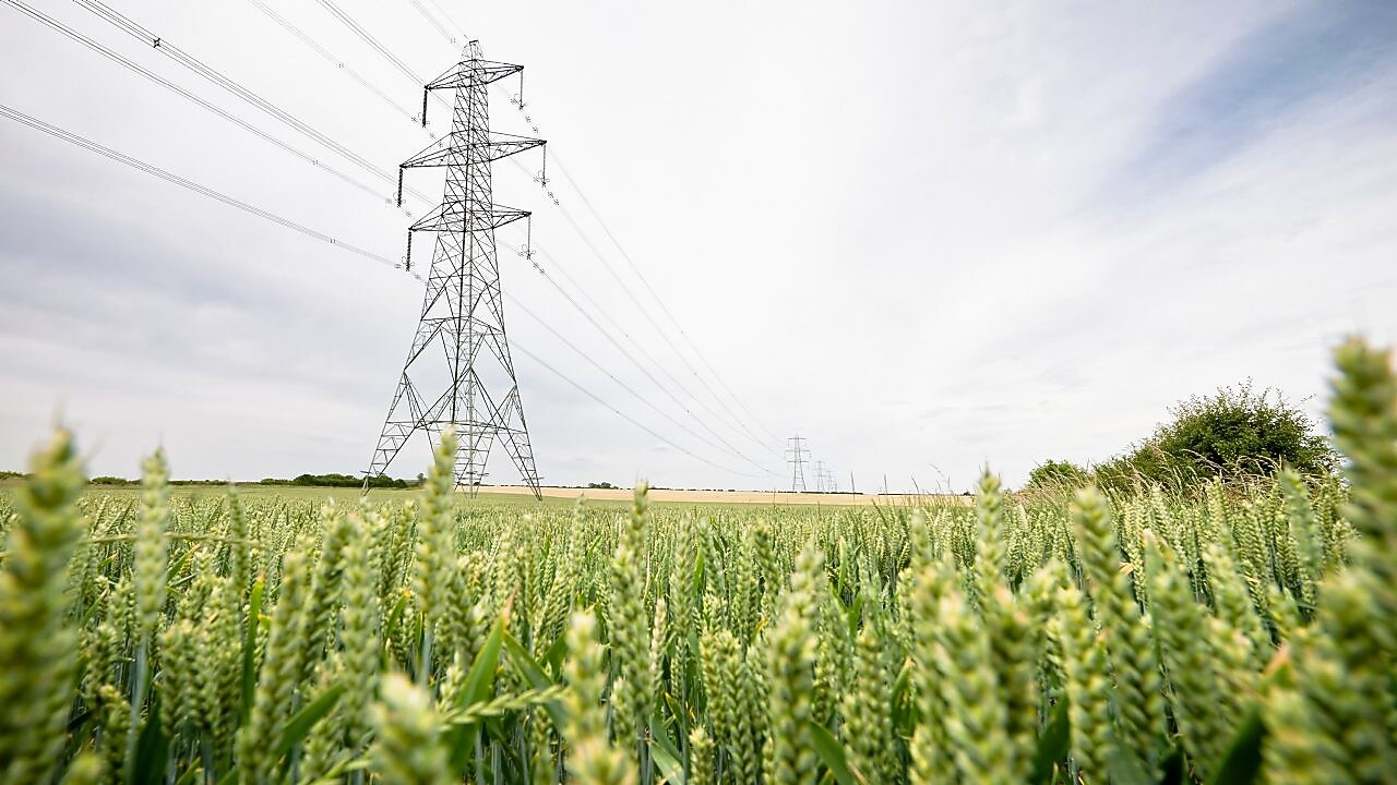 Destekleyici görüntü: Kırsal bölge manzarasında elektrik direği