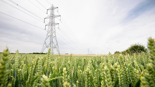 Destekleyici görüntü: Kırsal bölge manzarasında elektrik direği
