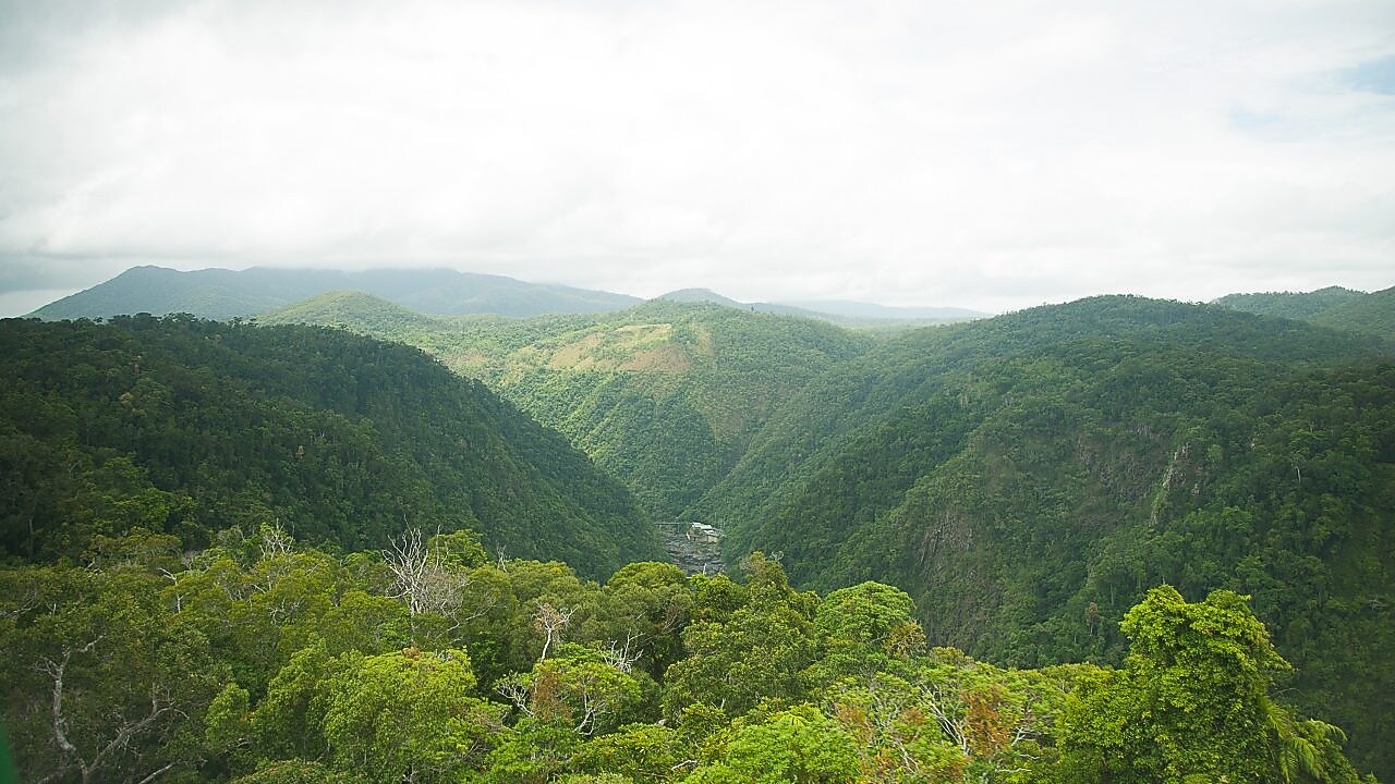 İşletmenizin Gelirlerinden Ödün Vermeden Karbon Emisyonlarınızı Azaltmak