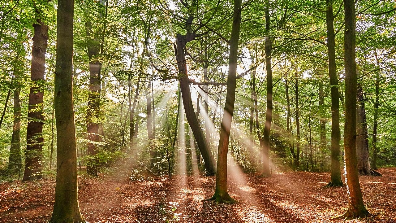 Doğa Bazlı Çözümler