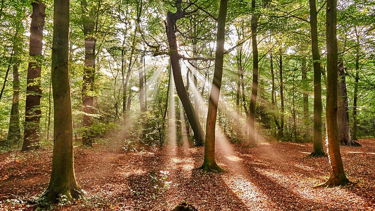 Doğa Bazlı Çözümler