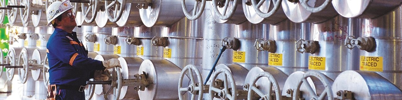 Deer Park, OP-2 etilen fabrikasının Besleme Bağlantısında çalışan mühendis, 2004