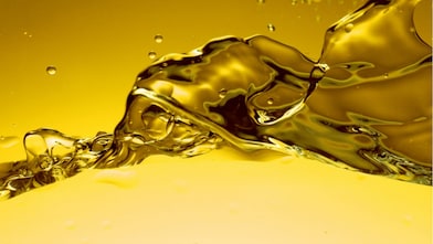 Shell Madeni Yağlar