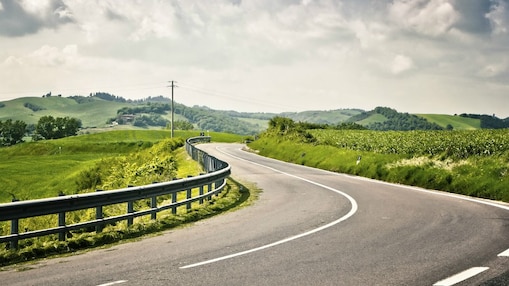 Etrafı ağaçlarla çevrili bakımlı yol