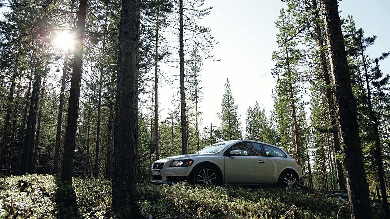 Orman yolunda otomobil