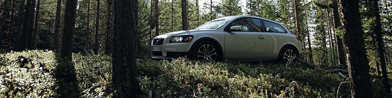 Beyaz bir otomobil ormanın ortasında duruyor