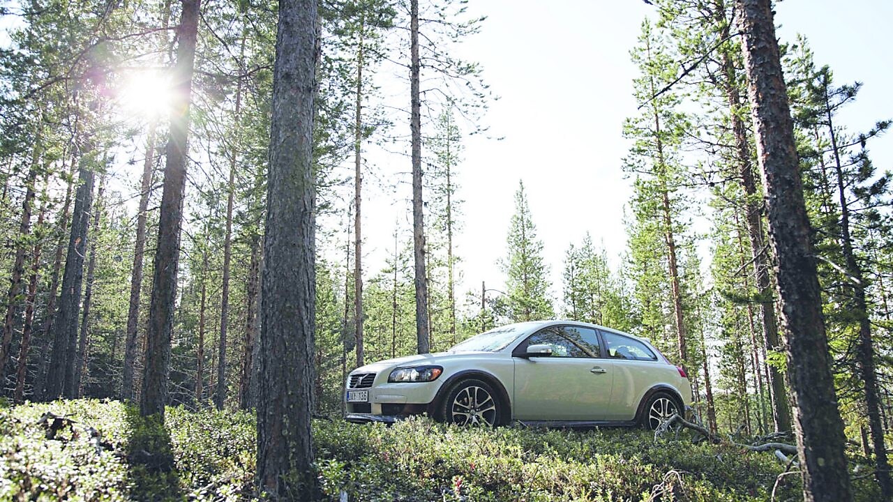 Orman yolunda otomobil