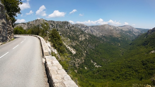 Dağların doğayla çevrili bir yol