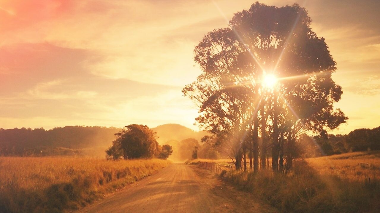 Stuart Otobanı Avustralya