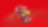 Shell Lego arabaları
