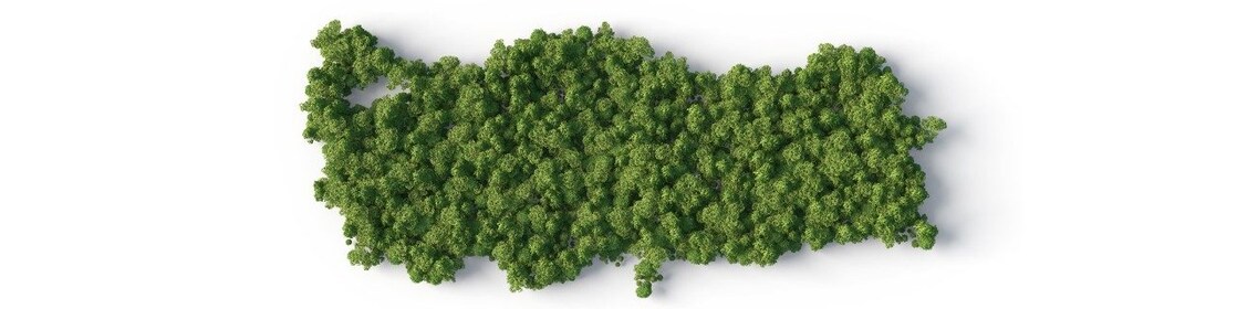 Ağaçlardan oluşan Türkiye haritası A map of Turkey made of trees