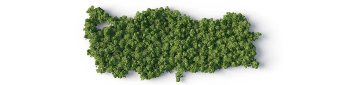 Ağaçlardan oluşan Türkiye haritası A map of Turkey made of trees