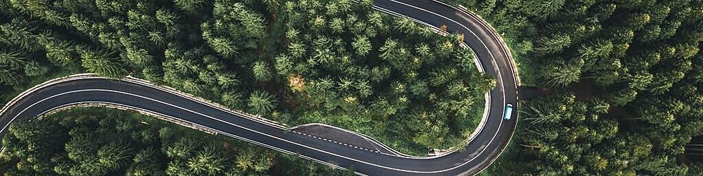 Çevre projelerimizi yansıtan bir orman fotoğrafı.