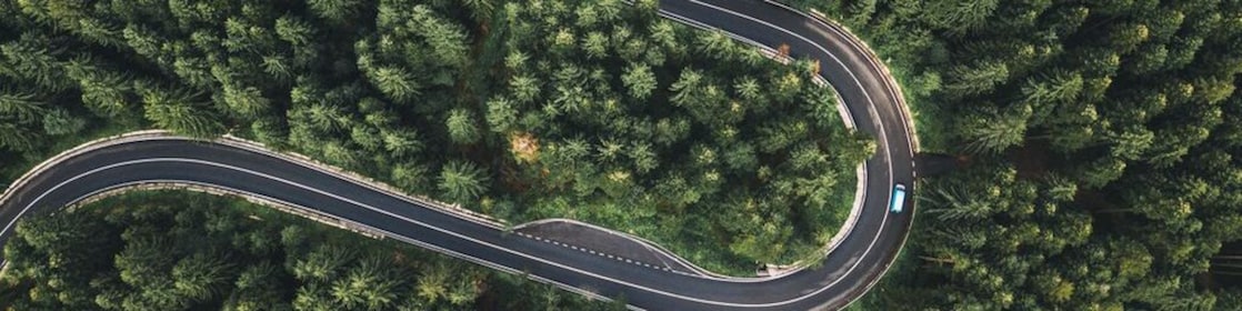 Çevre projelerimizi yansıtan bir orman fotoğrafı.